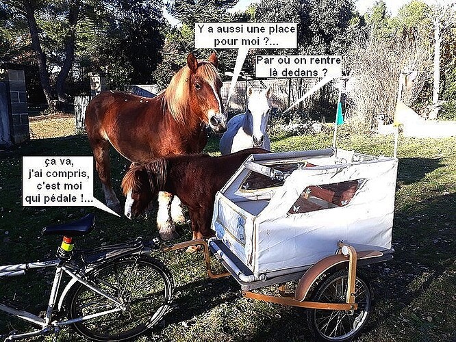 Remorque-vélo - chevaux